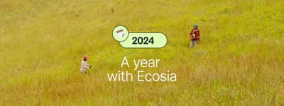 Ecosia's 2024 roundup