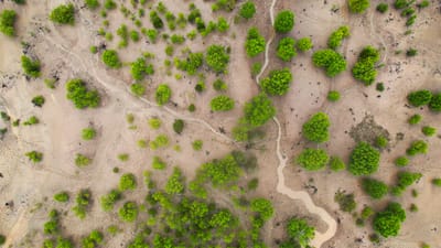 We’re losing nature’s best flood defense — can we fix that?