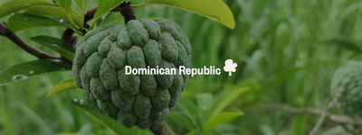 Dominican Republic