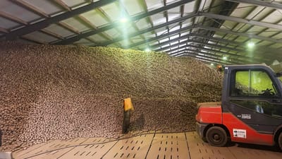 Hot potato: Why we saved 4000 tonnes of spuds from going to waste